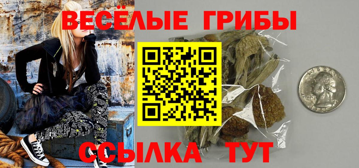 Галлюциногенные грибы Psilocybe  Вход с VPN  Псилоцибиновые грибы Magic Shrooms  Заволжье 